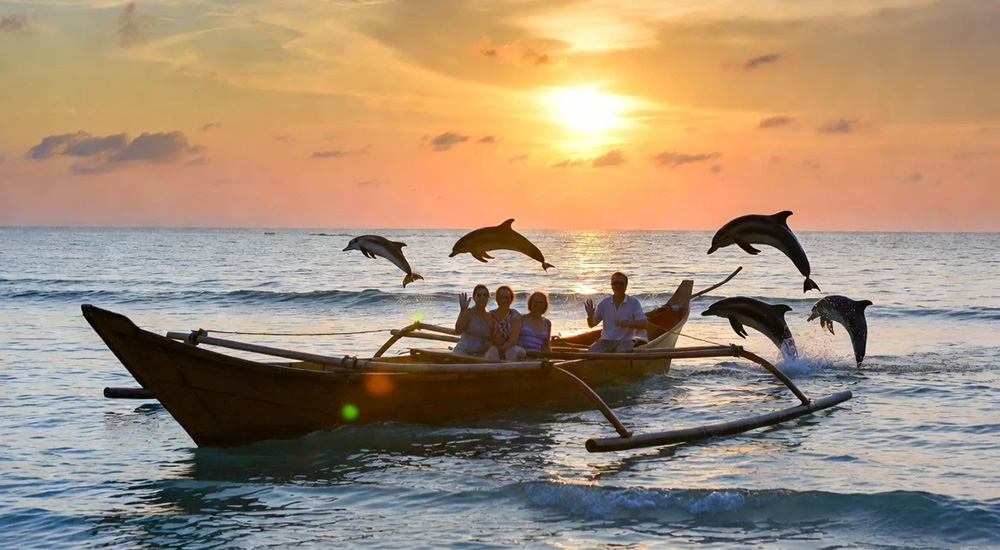 Dolphin_Lovina